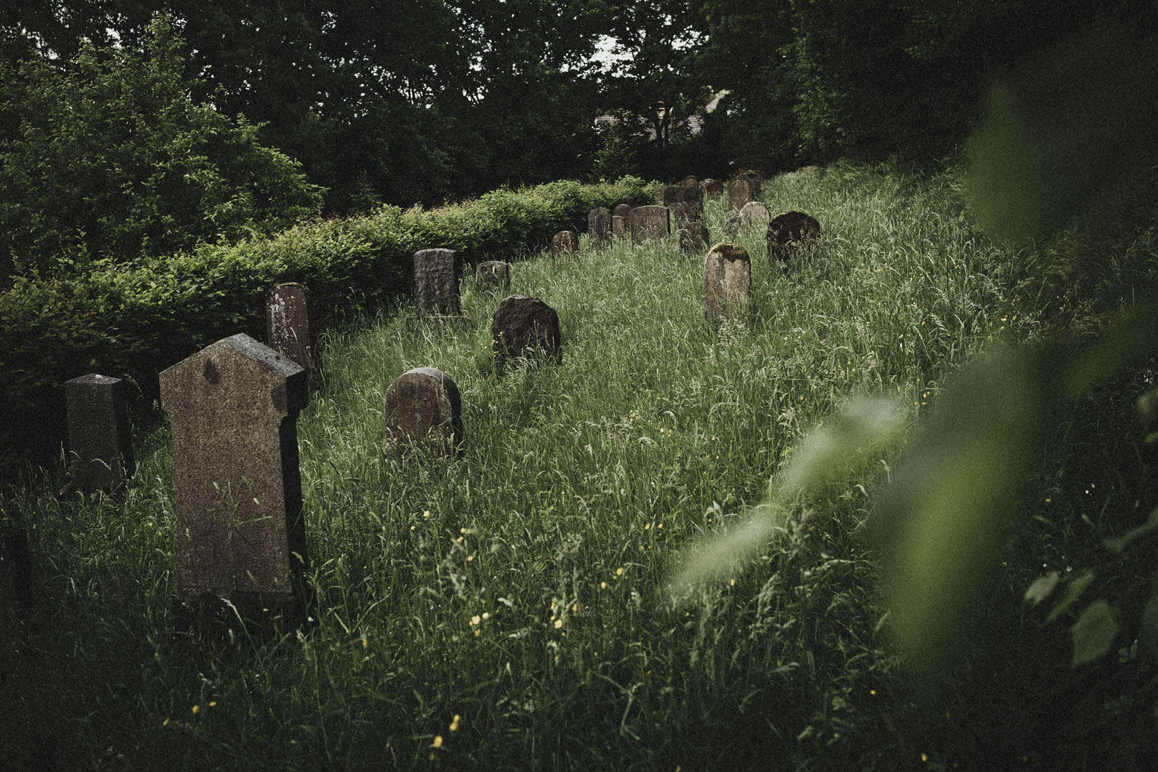 Aufenau Jüdischer Friedhof